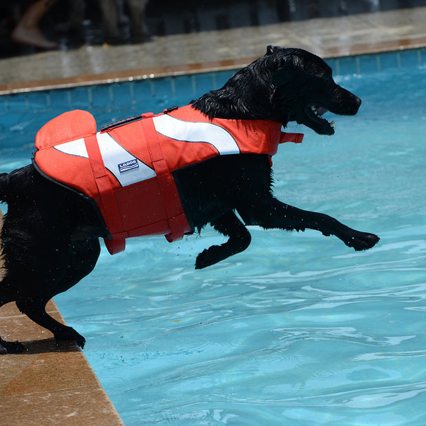 Dog Swimming Life Vest in Various Styles