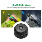 Bird Feeder For Outdoor With High-definition Camera Click One And Done