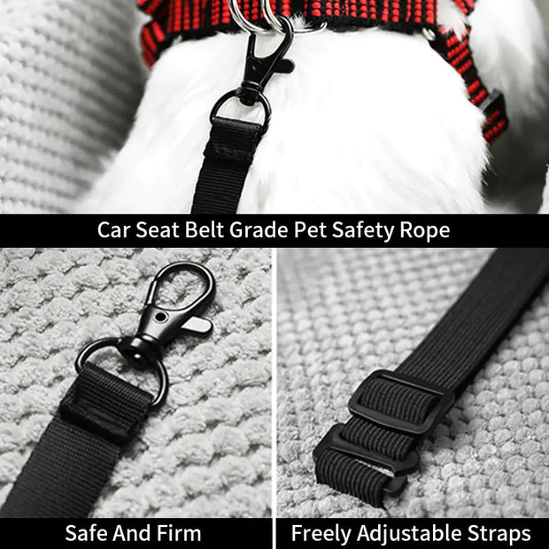 Pet Safety Seat Click One And Done