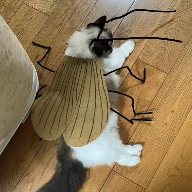 Cat/Dog Cockroach Halloween Costume