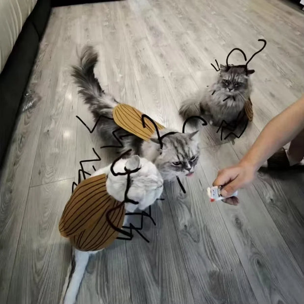 Cat/Dog Cockroach Halloween Costume