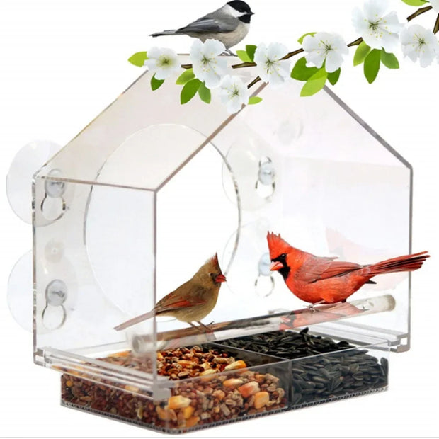 Acrylic Clear Glass Birds Hanging Bird Feeder Click One And Done