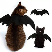 Halloween Pet Costume - Click One And Done