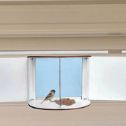 Window Bird Feeder For Your Office, Bedroom, Home Viewing Click One And Done