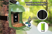 Wildlife Gazebo Bird Feeder With 1080P HD Smart Video Click One And Done