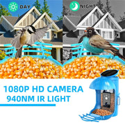 Wildlife Gazebo Bird Feeder With 1080P HD Smart Video Click One And Done