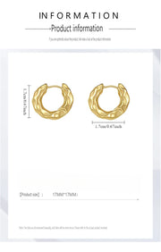 Hot Selling Trendy 925 Sterling Silver Circle Earrings