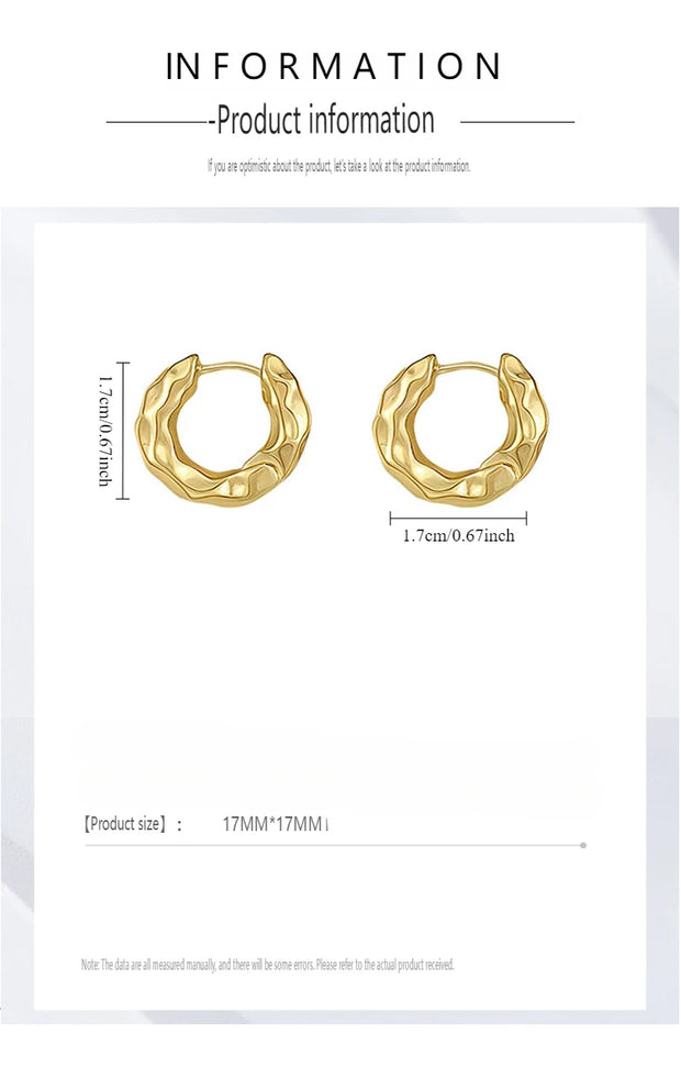 Hot Selling Trendy 925 Sterling Silver Circle Earrings