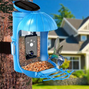 Wildlife Gazebo Bird Feeder With 1080P HD Smart Video Click One And Done