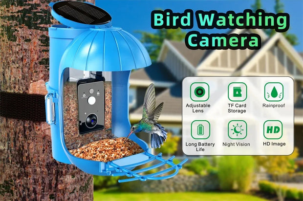 Wildlife Gazebo Bird Feeder With 1080P HD Smart Video Click One And Done