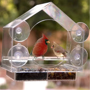 Acrylic Clear Glass Birds Hanging Bird Feeder Click One And Done