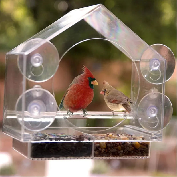 Acrylic Clear Glass Birds Hanging Bird Feeder Click One And Done