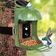 Wildlife Gazebo Bird Feeder With 1080P HD Smart Video Click One And Done