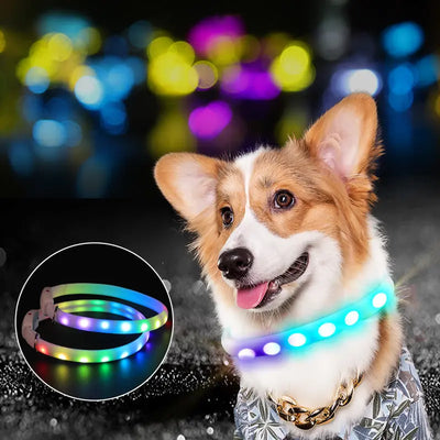 LED Rechargeable Dog Collar Click One And Done