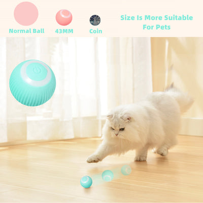 Smart Cat Ball Toys Click One And Done